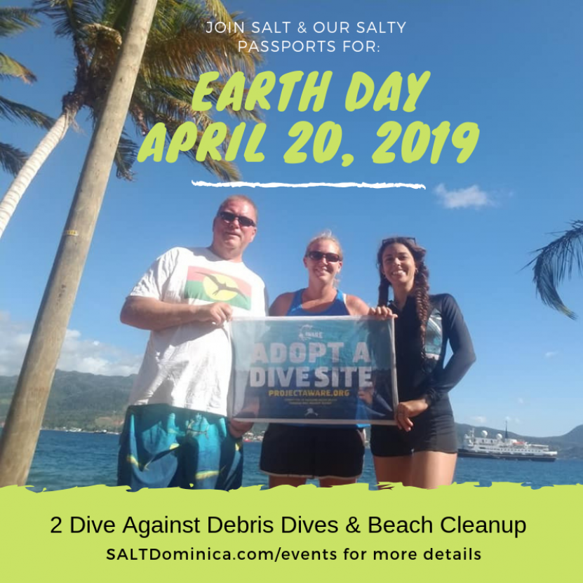 SALT Dominica Dive Against Debris & Beach Cleanup Cabrits Jetty