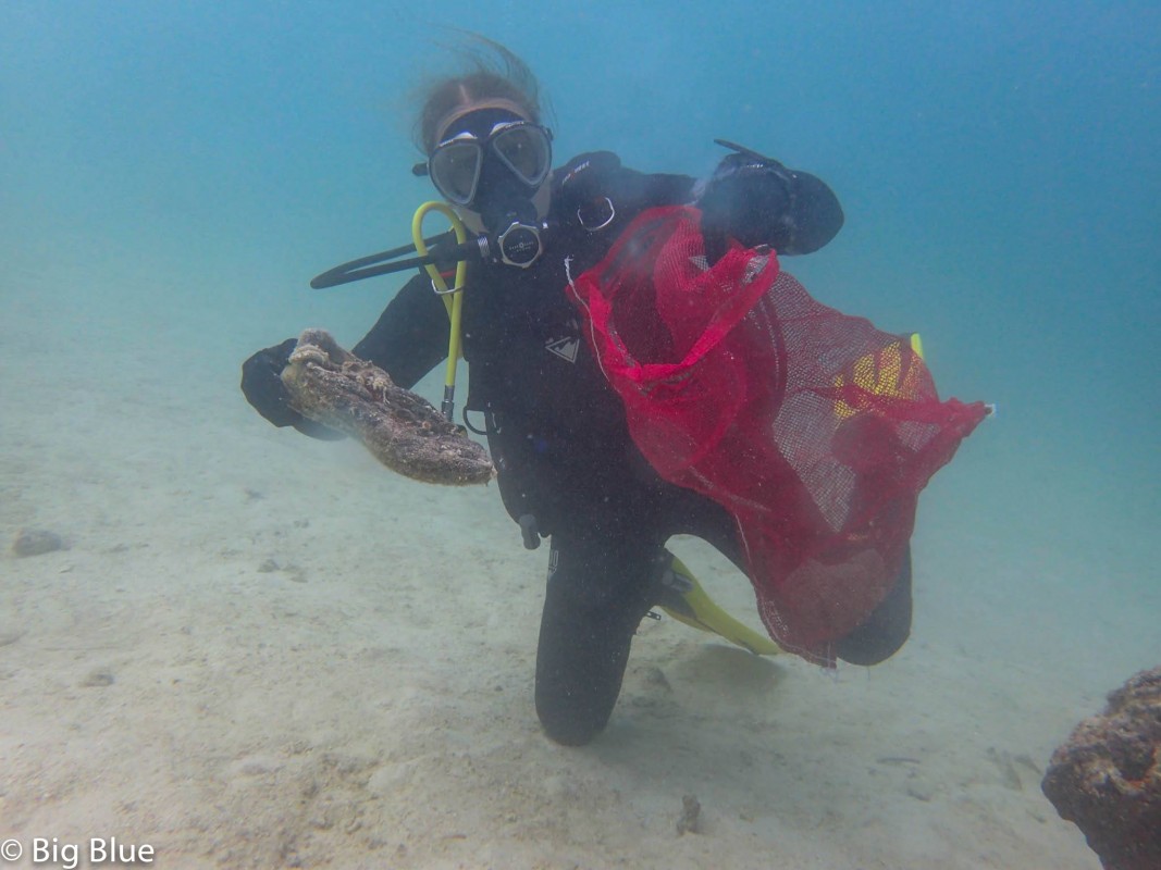 image of dive against debris vanuatu
